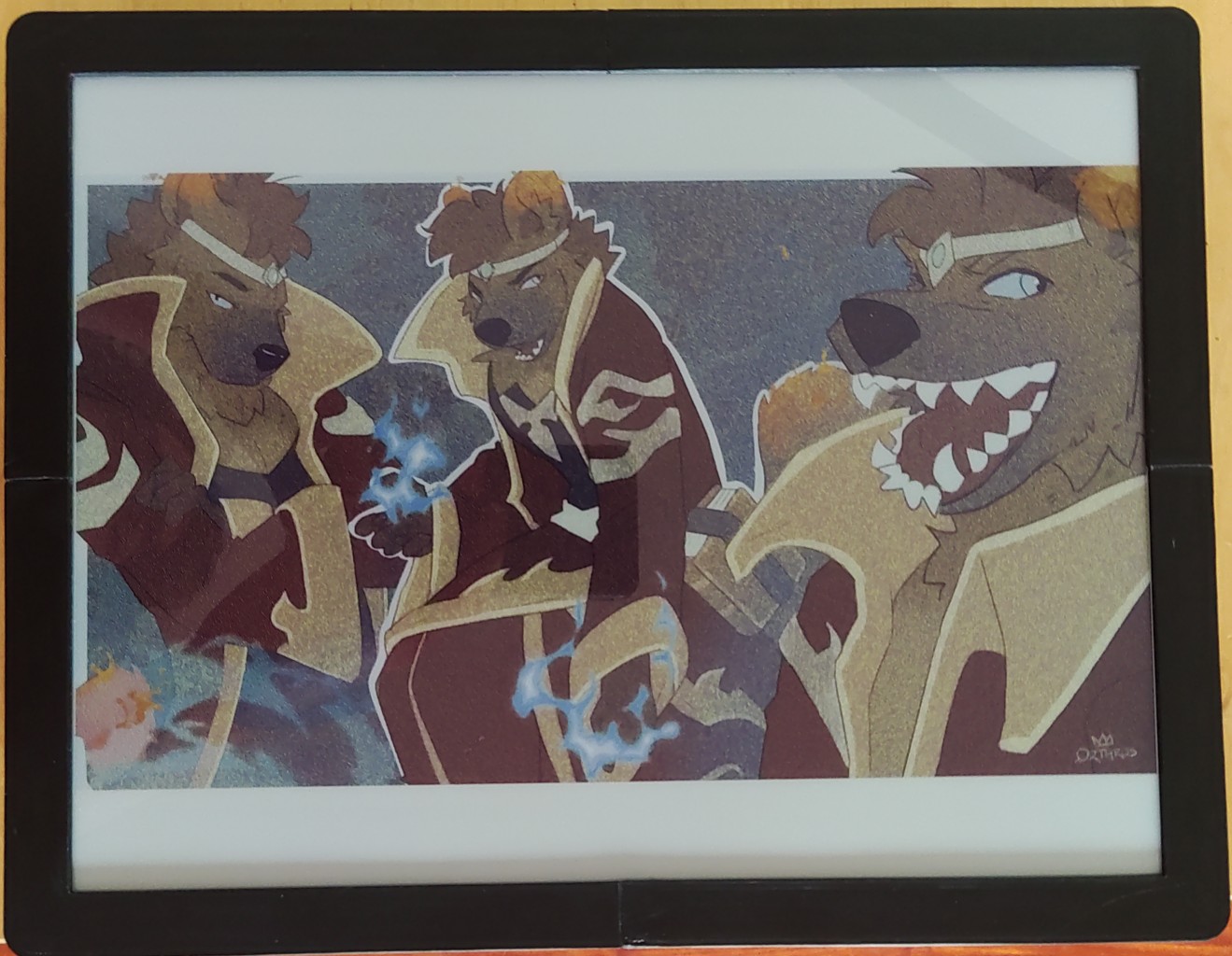 a photo of the digital display with the previous image displayed. The result is very washed out